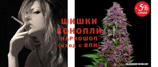сатива Волосово
