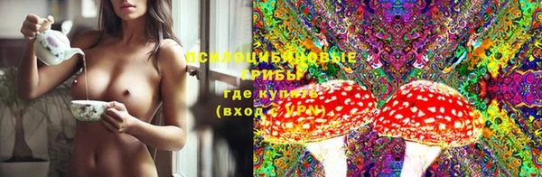 сатива Волосово