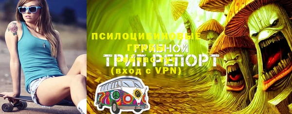 стаф Володарск