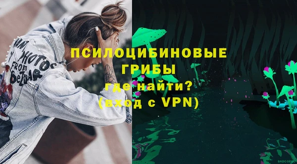 PSILOCYBIN Волоколамск