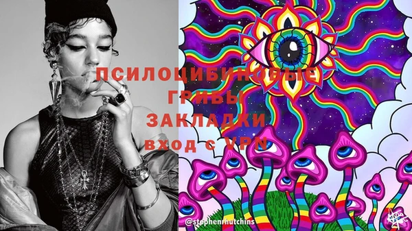 PSILOCYBIN Волоколамск