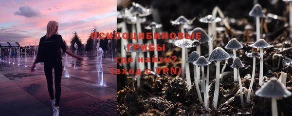 PSILOCYBIN Волоколамск