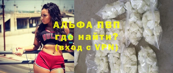 стаф Володарск