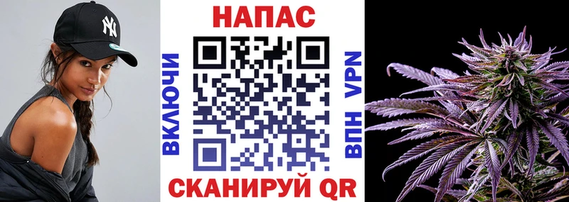 Бошки Шишки VHQ  Пятигорск 